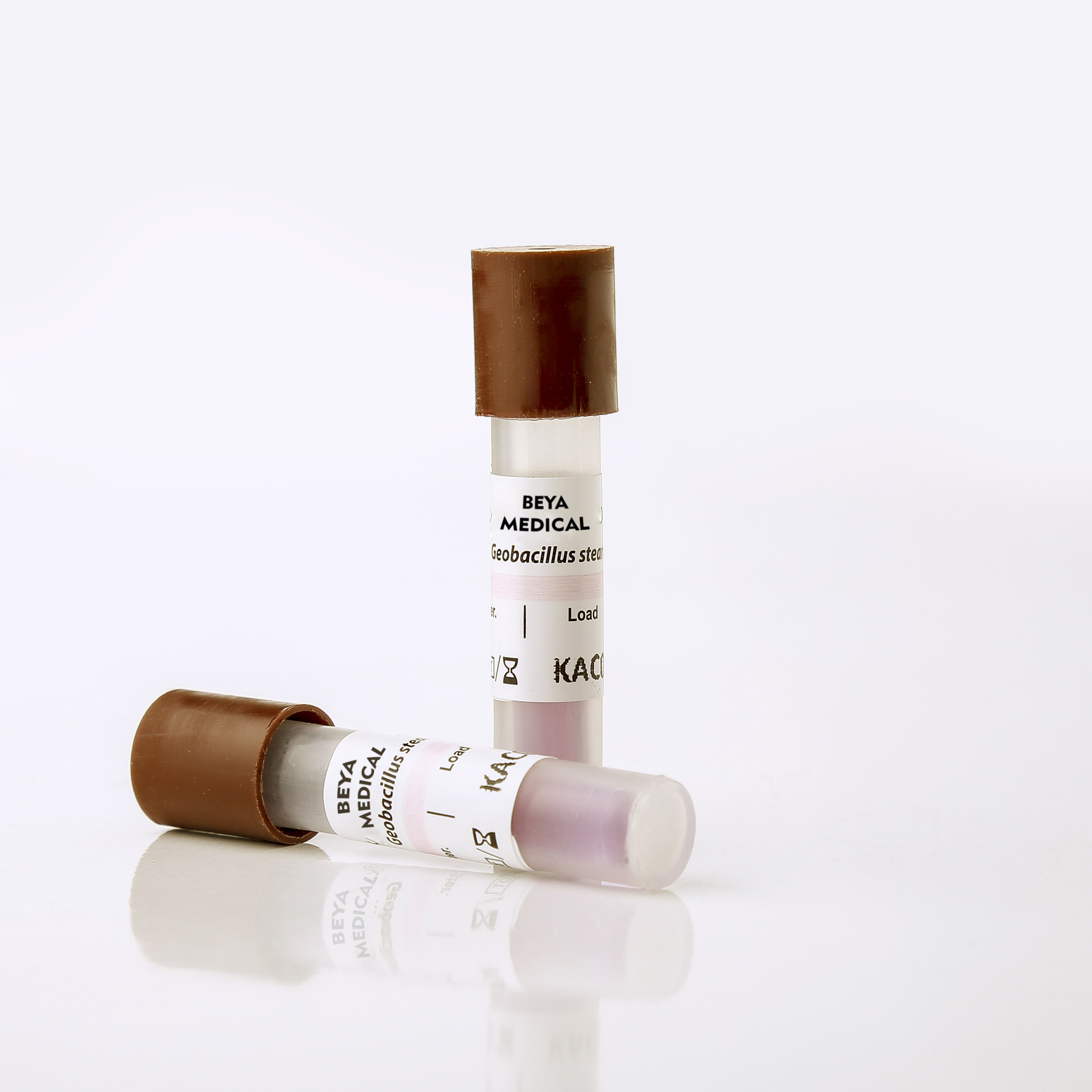 biological indicator steam 24 hour